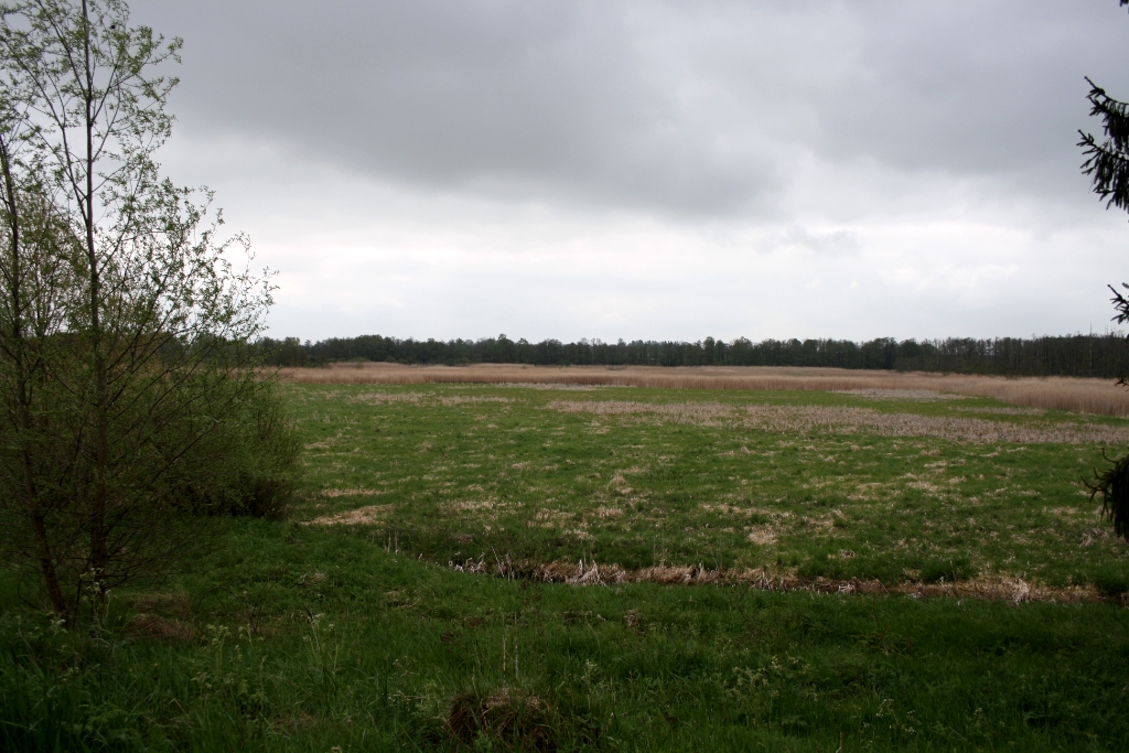 VWG vogelreis Oost Duitsland mei 2010 314